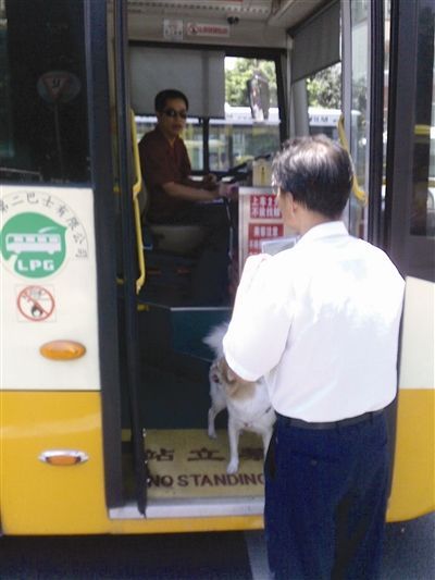 残疾人携扶助犬乘坐公交车屡屡遭拒(图)